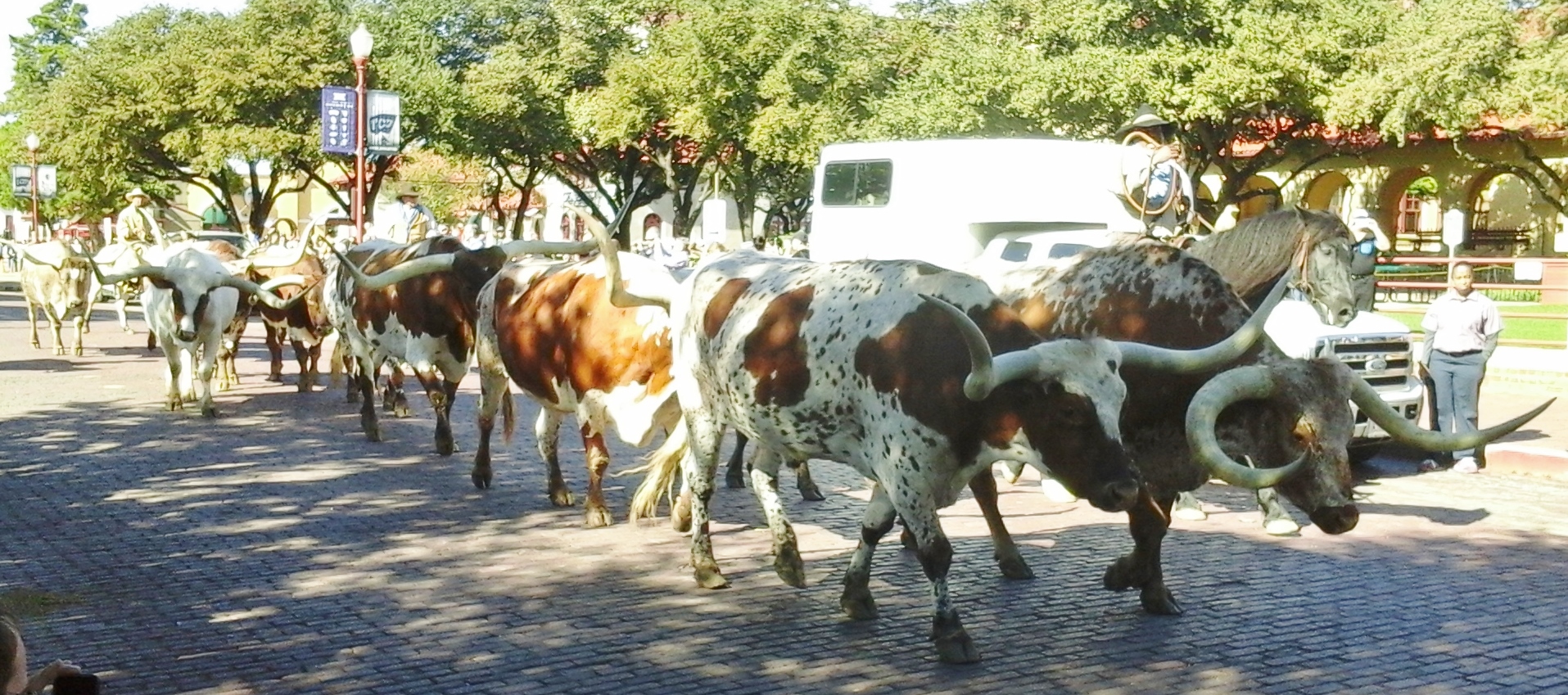 20151108_113639 - Copy (2)