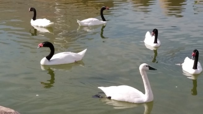 WP_20171022_12_38_41_Pro