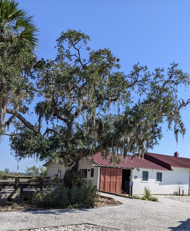 Visiting Pin Point today is like taking a step back in time.